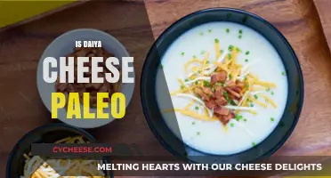 Is Daiya Cheese Paleo? A Comprehensive Guide to Dairy-Free Options