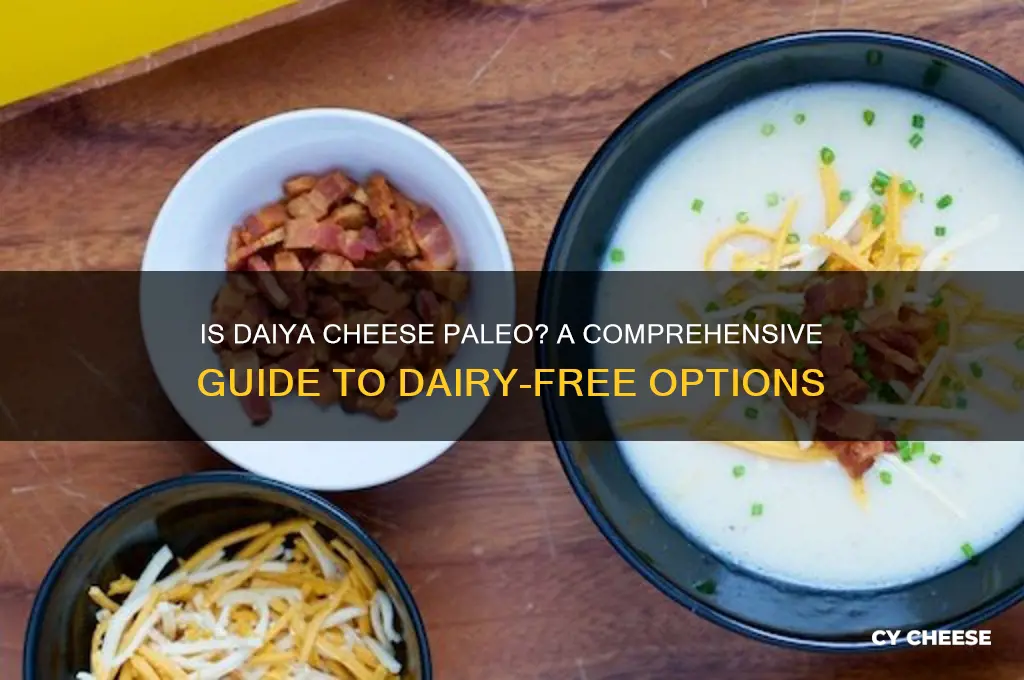 is daiya cheese paleo