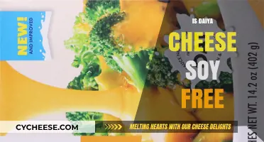 Daiya Cheese: Soy-Free and Delicious