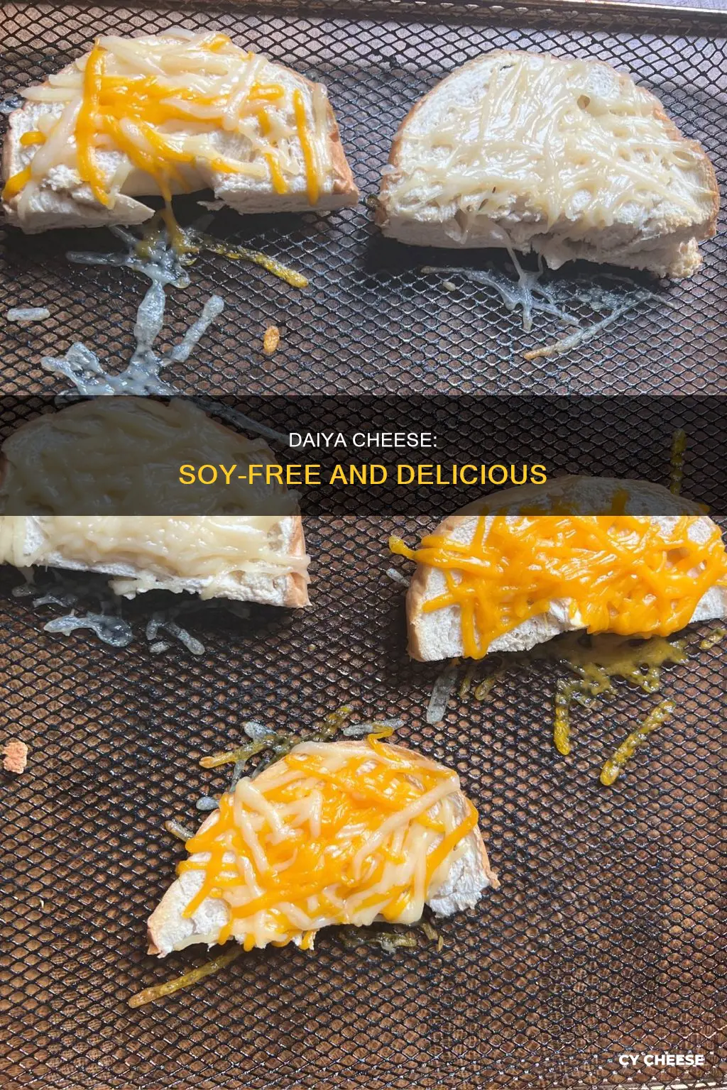 is daiya cheese soy free