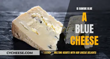 Exploring Dansik Blue: Is It a True Blue Cheese?