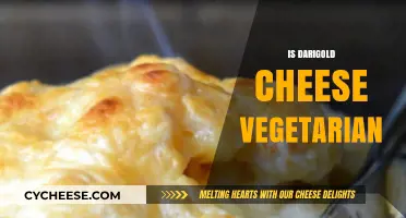 Is Darigold Cheese Vegetarian? Exploring Ingredients and Production Methods
