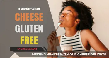 Is Darigold Cottage Cheese Gluten-Free? A Complete Guide