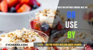 Sell By or Use By: Decoding Cottage Cheese Dates for Freshness