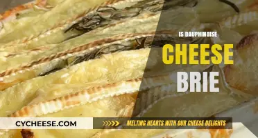 Dauphinoise Cheese vs. Brie: Unraveling the French Culinary Confusion