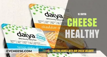 Daiya Cheese: Healthy or Not?