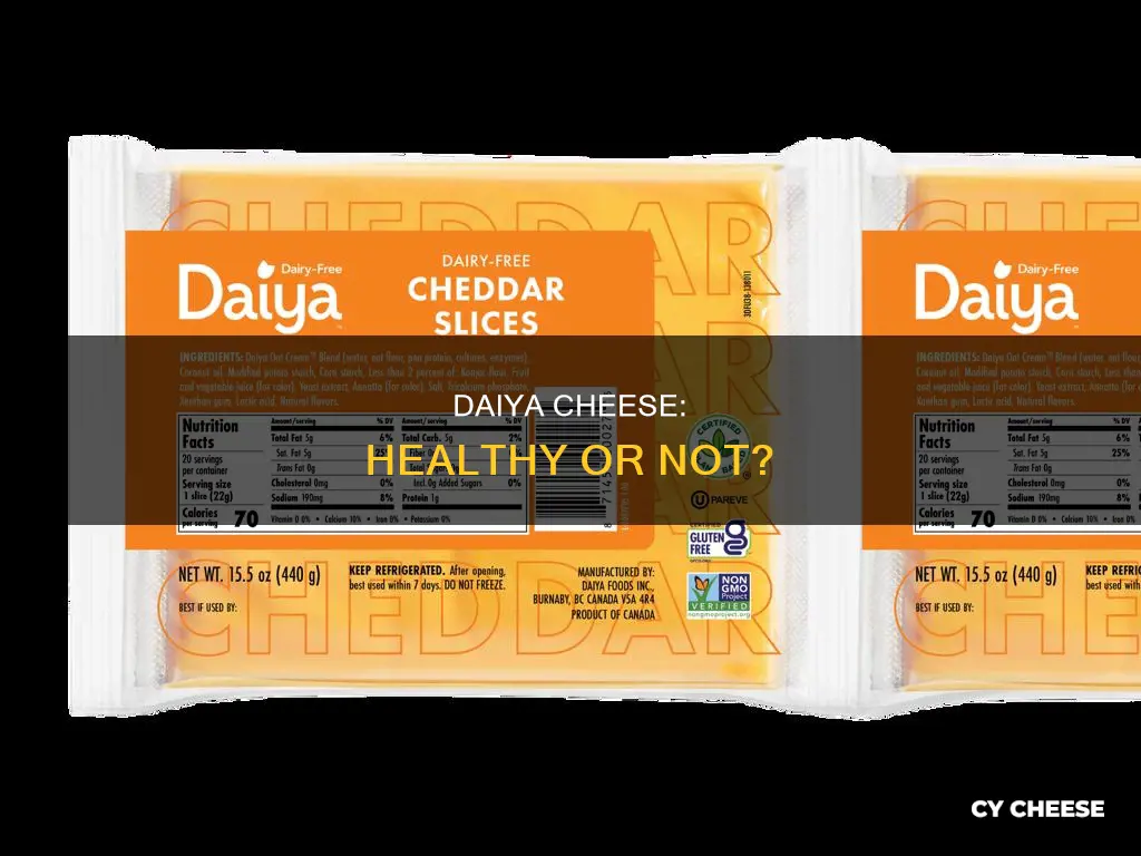 is dayia cheese healthy