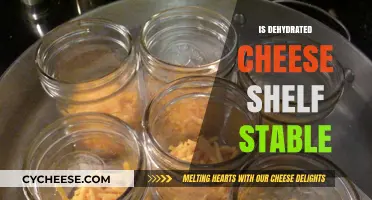 Dehydrated Cheese Shelf Life: Is It Truly Stable for Long-Term Storage?