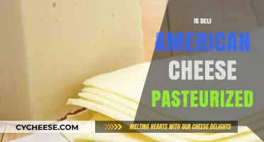 Is Deli American Cheese Pasteurized? Uncovering the Truth for Cheese Lovers