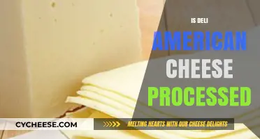 Is Deli American Cheese Processed? Uncovering the Truth Behind the Slice