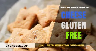 Gluten-Free American Cheese: The Truth About Dietze and Watson
