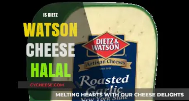 Is Dietz & Watson Cheese Halal? A Comprehensive Guide