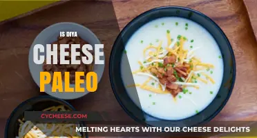 Is Diya Cheese Paleo? Exploring Its Place in the Paleo Diet