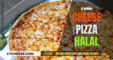 Is Domino's Cheese Pizza Halal? Unveiling the Truth