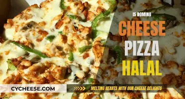 Domino's Cheese Pizza: Halal or Haram?