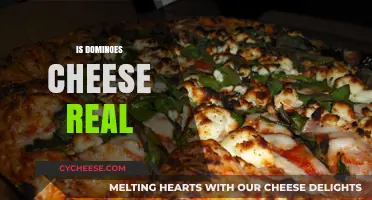 Is Domino's Cheese Real? Uncovering the Truth Behind the Melt