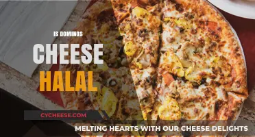 Is Domino's Cheese Halal? Exploring Ingredients and Certification
