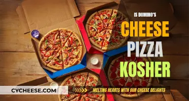 Domino's Kosher Cheese Pizza: What You Need to Know