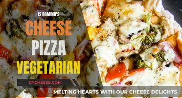 Unveiling the Cheesy Truth: Is Domino's Pizza Vegan-Friendly?