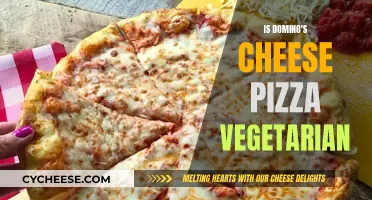 Domino's Cheese Pizza: Vegetarian or Not?