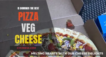 Dominos' Veggie Cheese Pizza: A Tasty Verdict