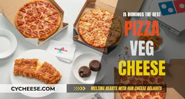 Domino's Veg Cheese Pizza: Worth the Hype?