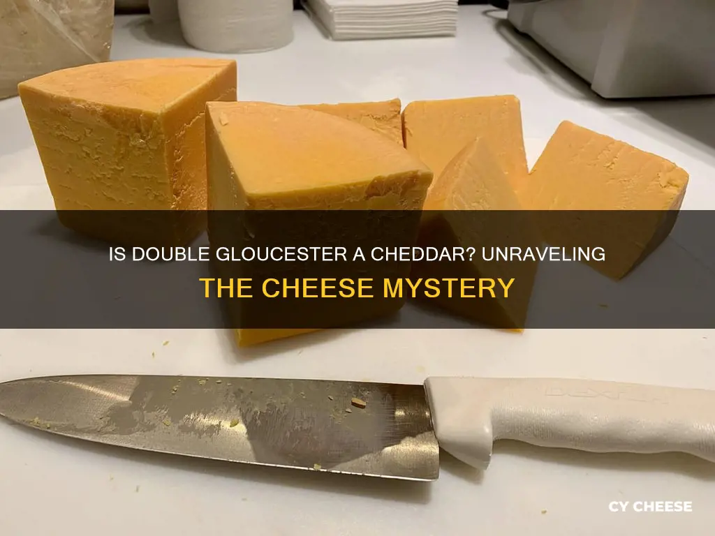 is double gloucester cheese a cheddar