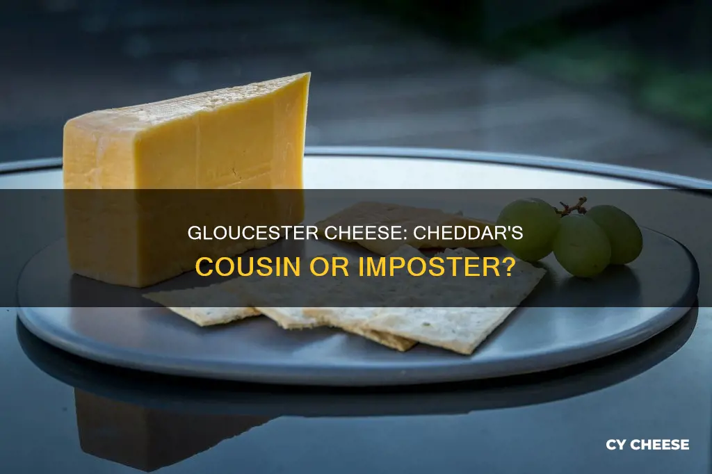 is double gloucester cheese a cheddar