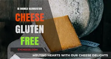 Gluten-Free Double Gloucester Cheese: Is It Safe?