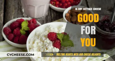 Is Dry Cottage Cheese Healthy? Nutrition Benefits and Facts Explained