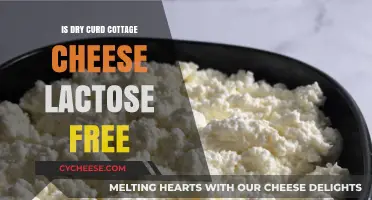 Is Dry Curd Cottage Cheese Lactose Free? A Comprehensive Guide
