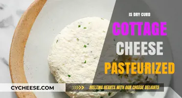 Is Dry Curd Cottage Cheese Pasteurized? A Complete Guide