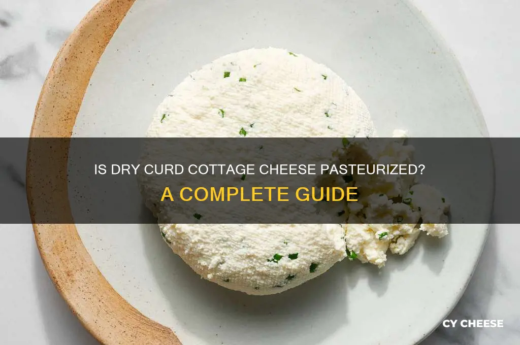 is dry curd cottage cheese pasteurized