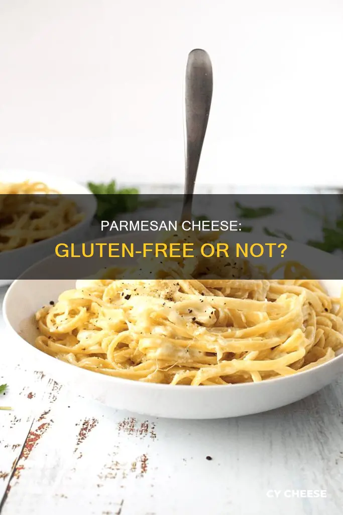 is dry parmesan cheese gluten free