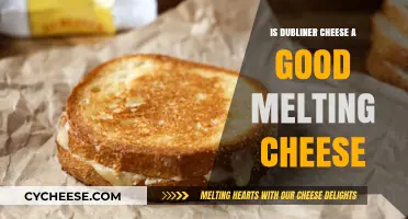 Dubliner Cheese: Melts Like a Dream?