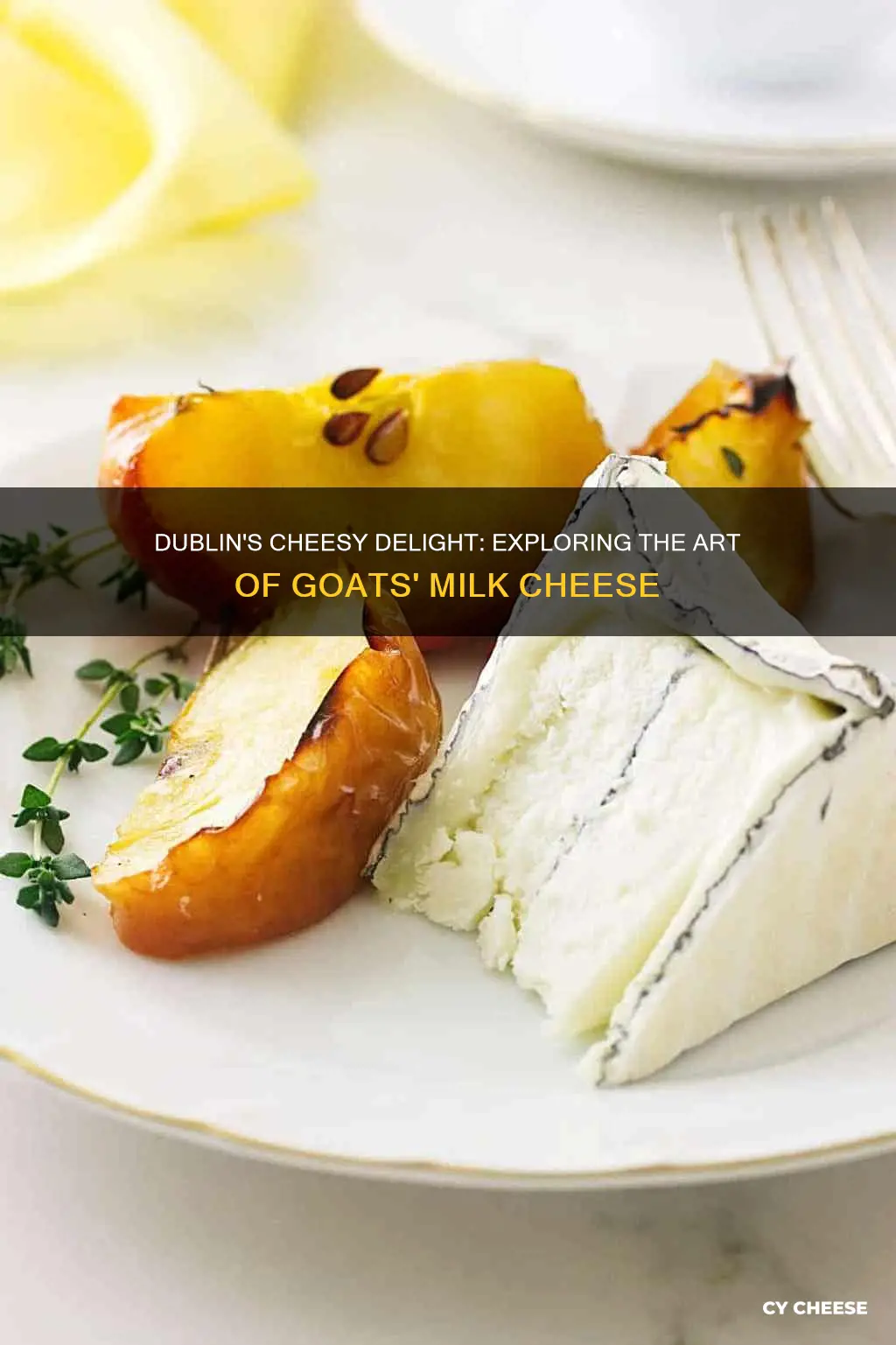 is dubliner cheese goat cheese