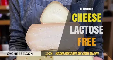 Dubliner Cheese: Lactose-Free Superfood?