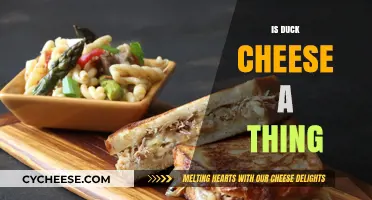 Exploring the Myth: Is Duck Cheese a Real Culinary Delight?