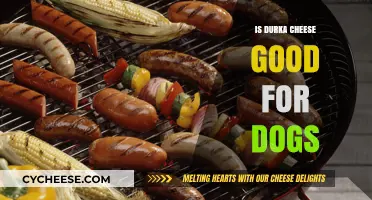 Durka Cheese: A Healthy Treat for Dogs?