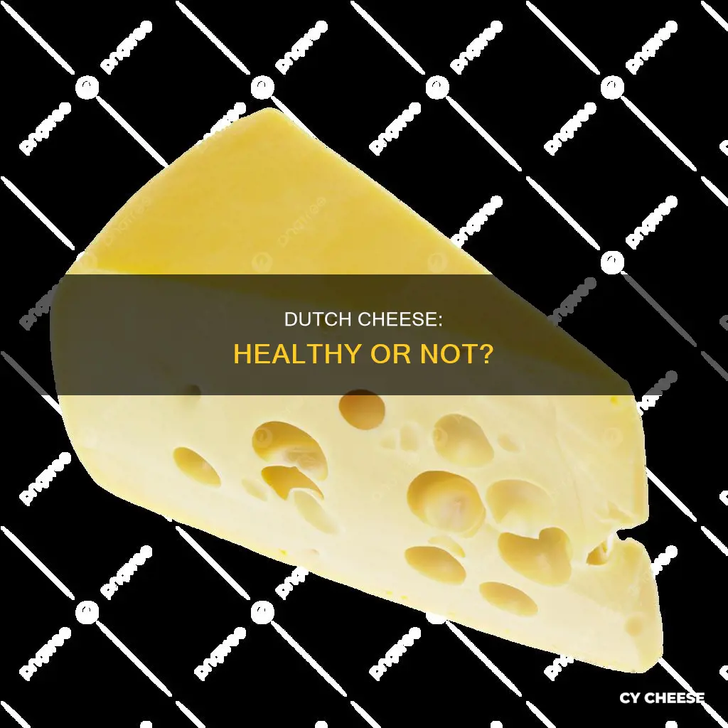 is dutch cheese healthy