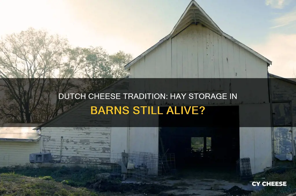 is dutch cheese still stored in hay in barns