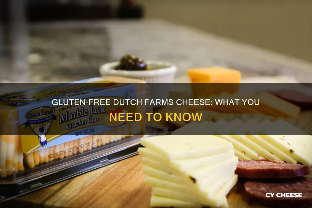 is dutch farms cheese gluten free