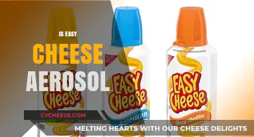 Is Easy Cheese Really Aerosol? Unraveling the Mystery Behind the Can