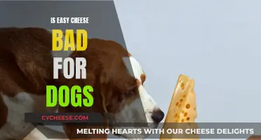 Easy Cheese: A Dog-Friendly Treat or Not?