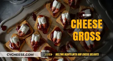 Is Easy Cheese Gross? Unraveling the Truth About Aerosol Cheese