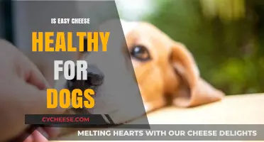 Easy Cheese: A Healthy Dog Treat?