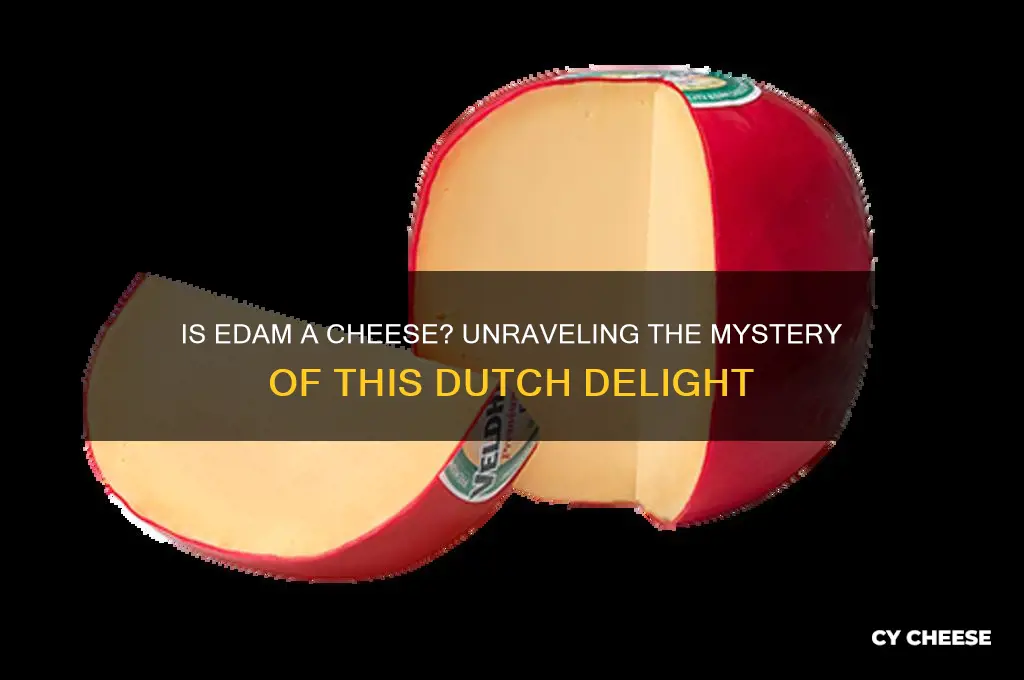 is edam a cheese