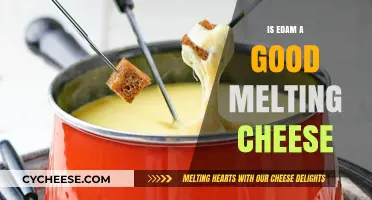 Edam's Melting Abilities: The Ultimate Guide