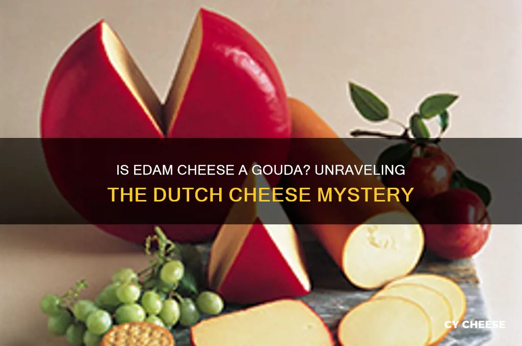 is edam cheese a gouda