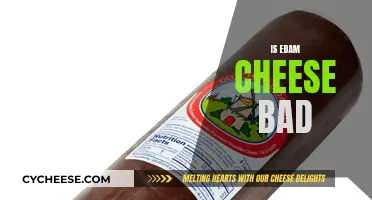 Edam Cheese: Healthy or Harmful?